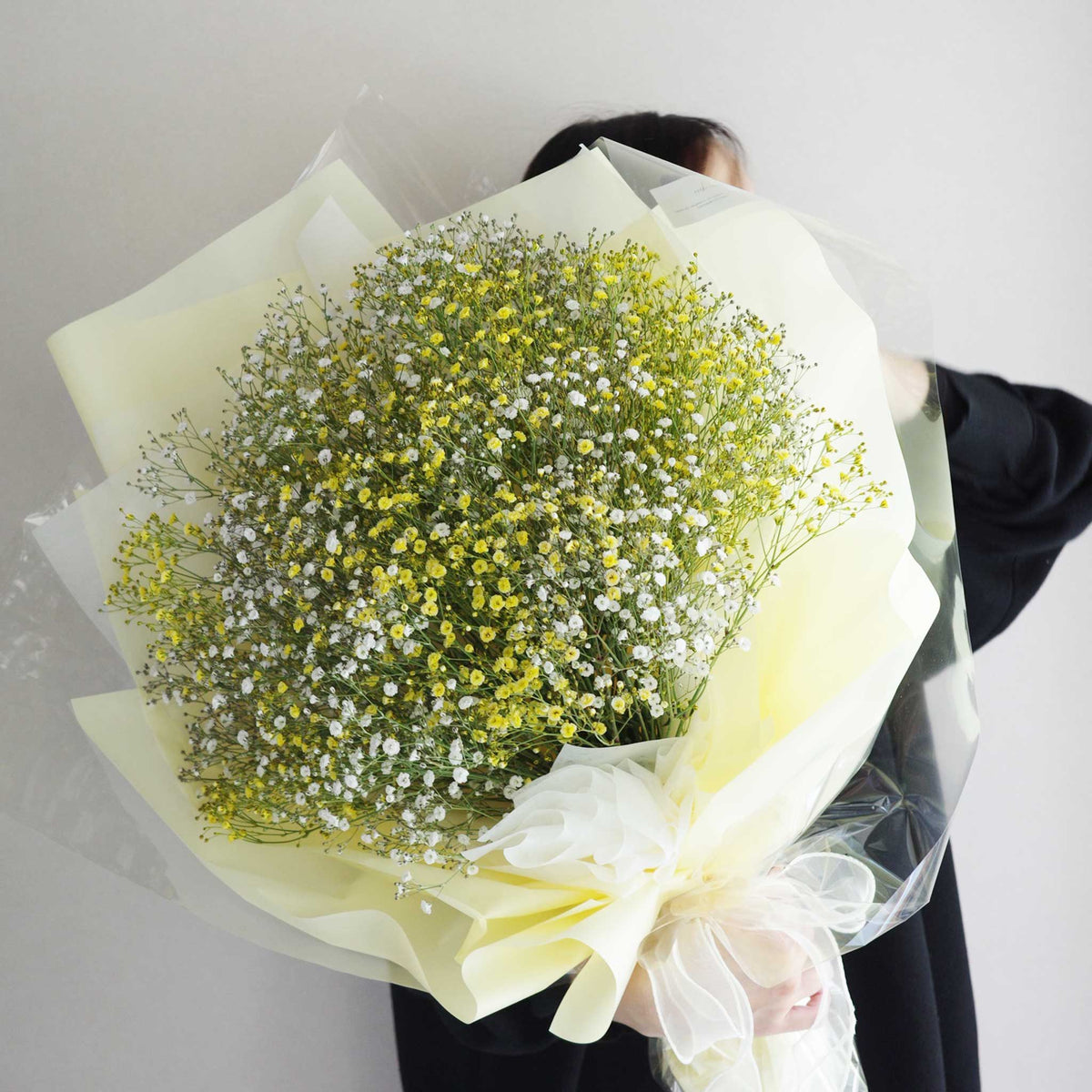 プロポーズ用かすみ草花束(大)