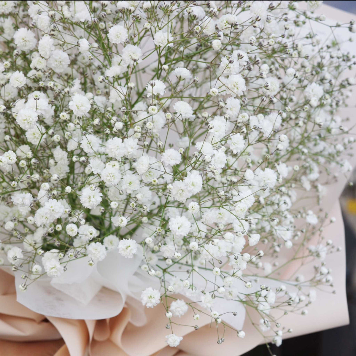 かすみ草花束