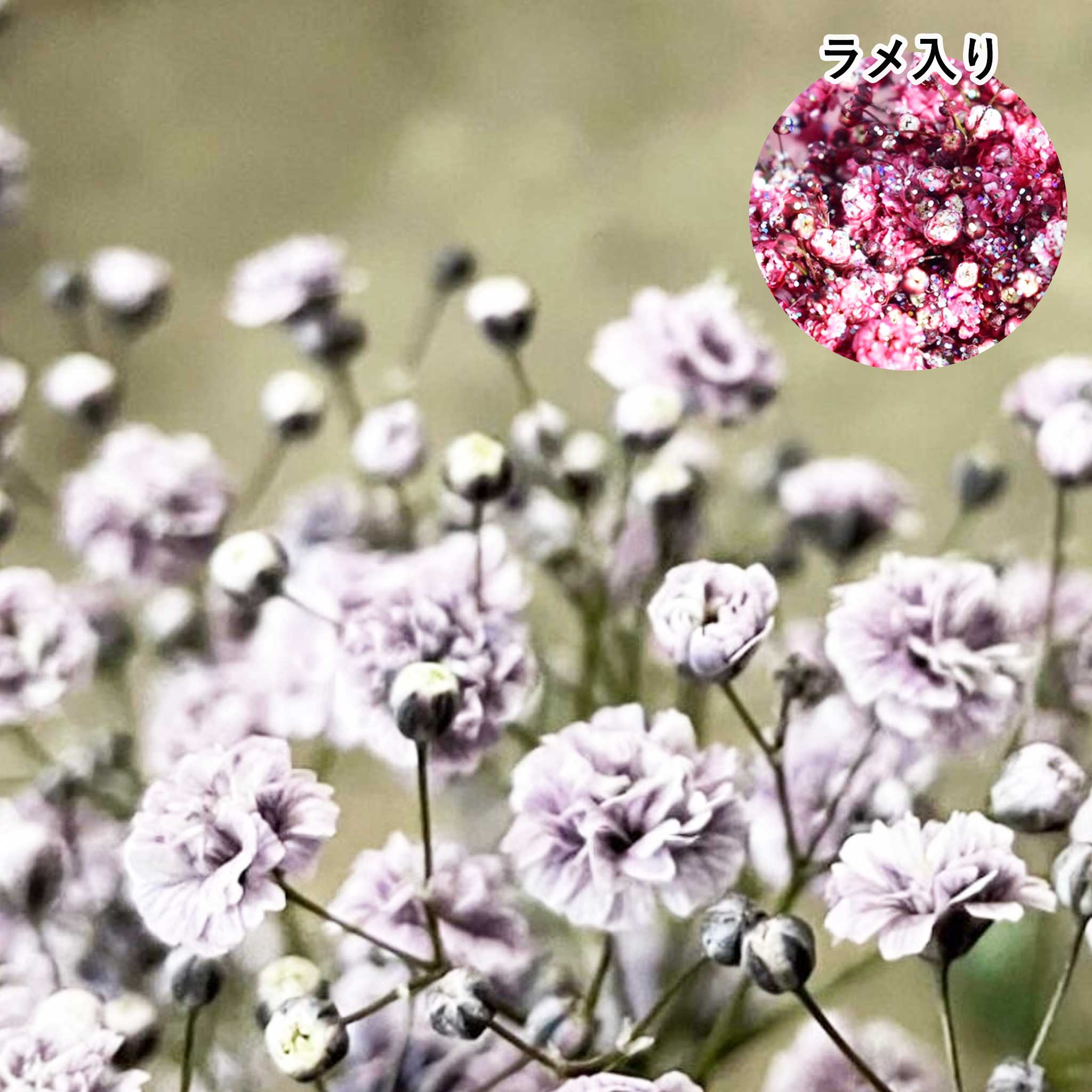 かすみ草リース