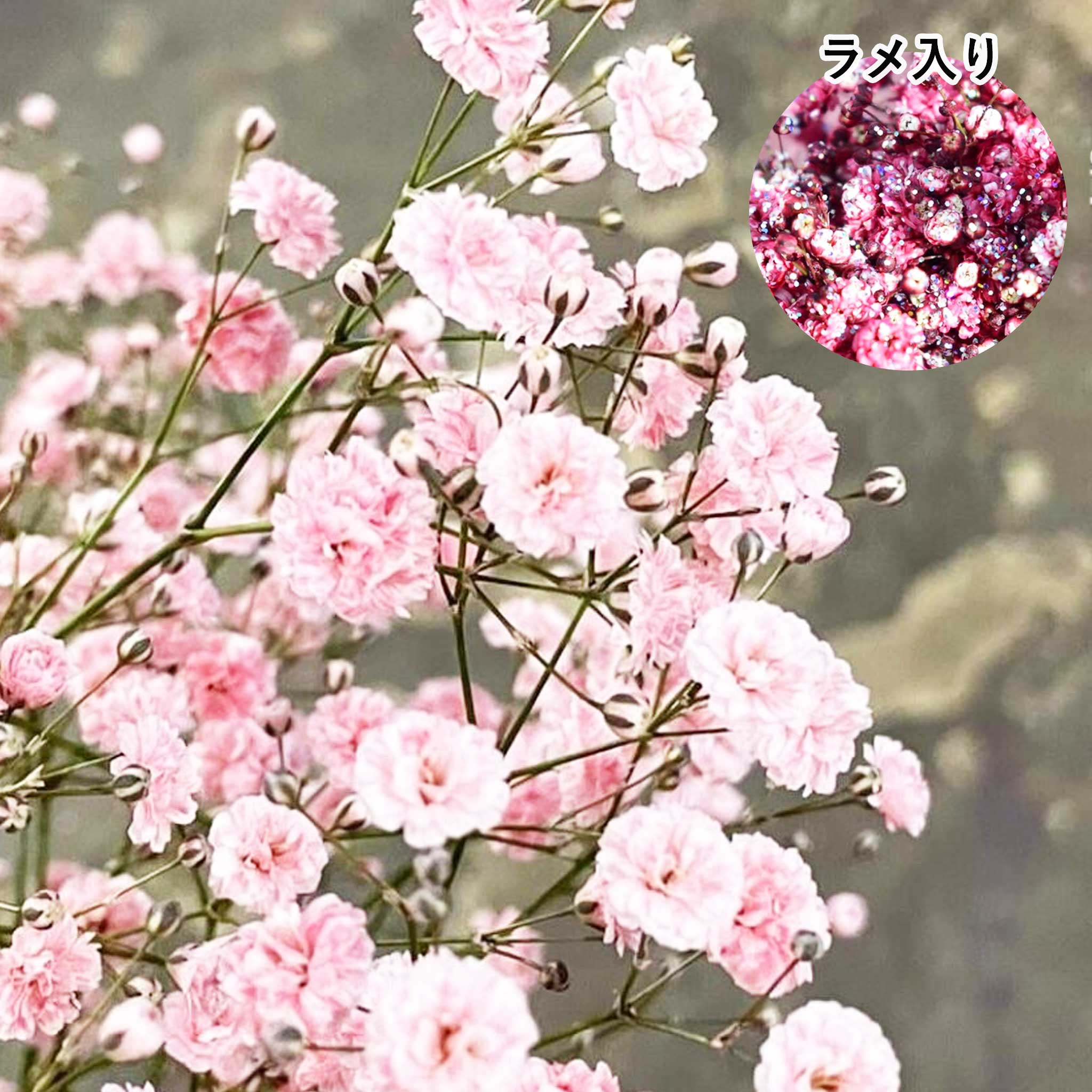 かすみ草リース