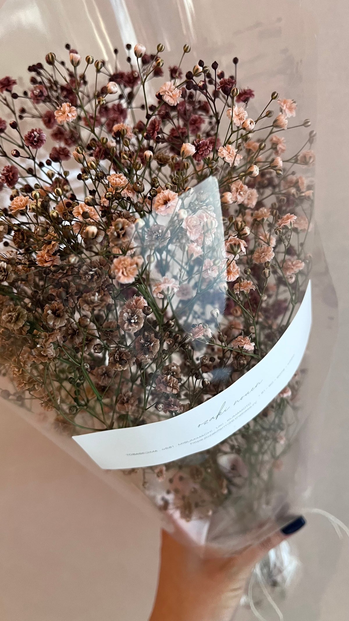 かすみ草ご家庭用(ホームフラワー)