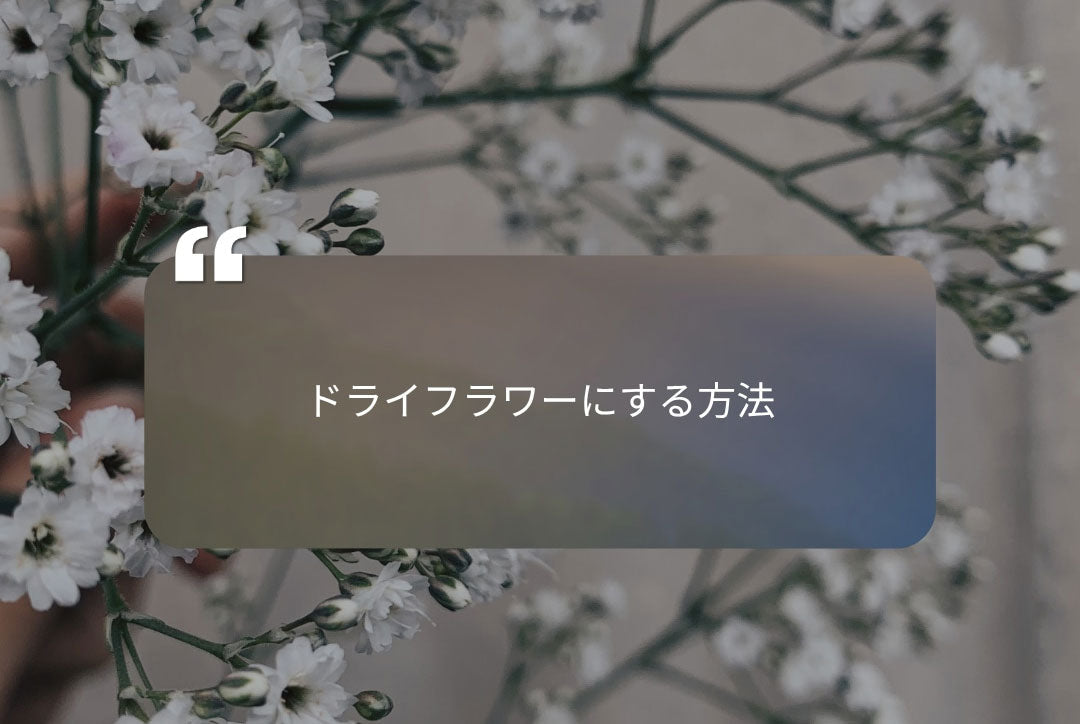 ドライフラワーの方法