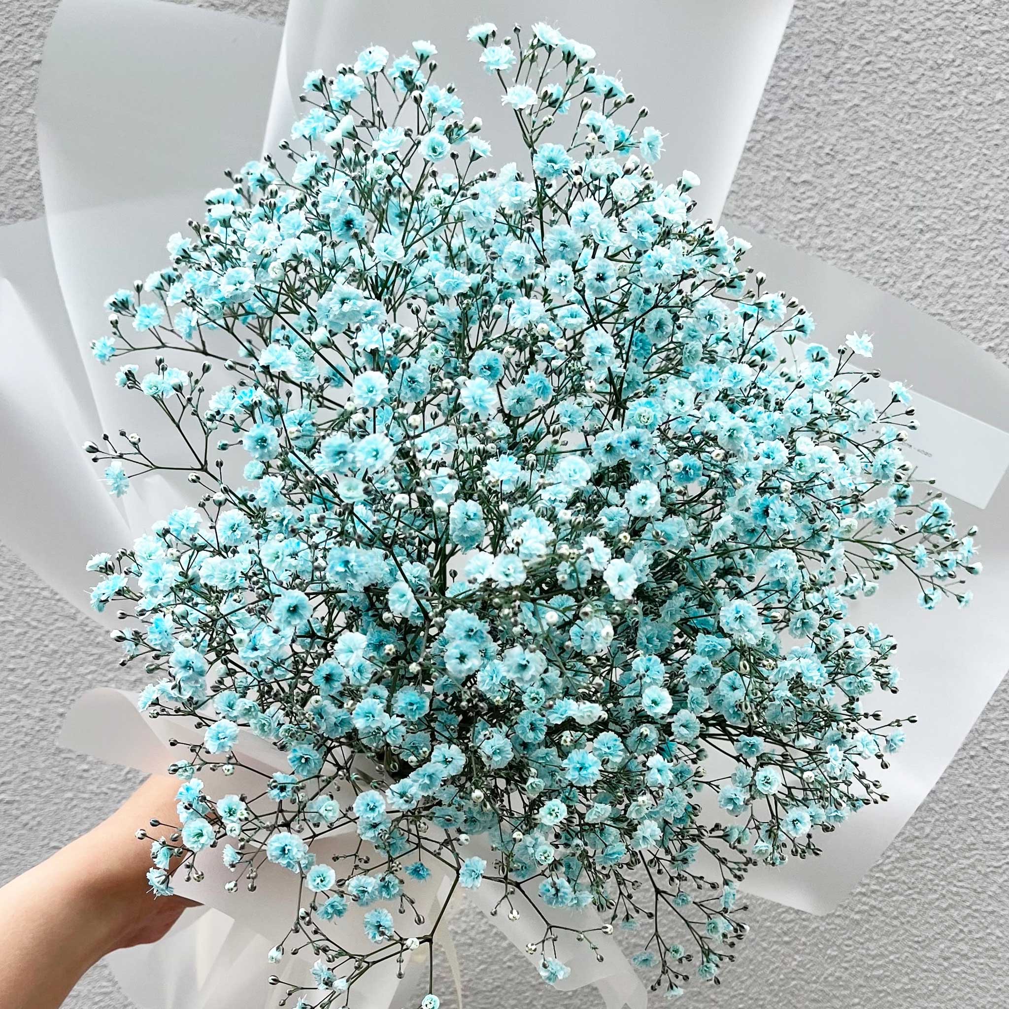 かすみ草花束