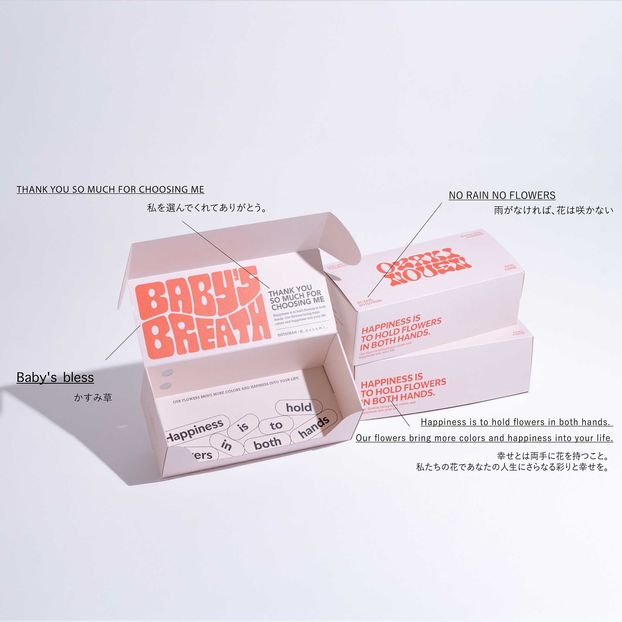 「baby’s breath box」